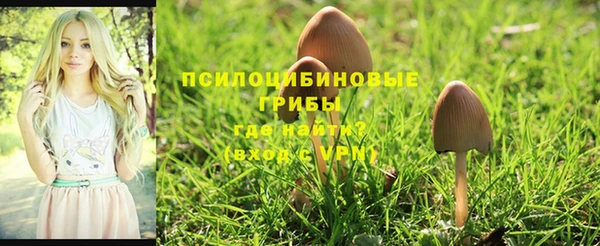 прущая мука Верея