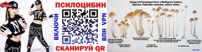 Псилоцибиновые грибы Psilocybine cubensis даркнет сайт MEGA ссылки Ангарск